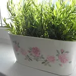 公寓 Oliwia 索波特