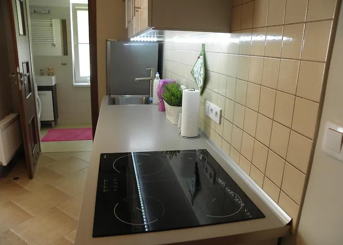 Διαμέρισμα Apartament Oliwia *